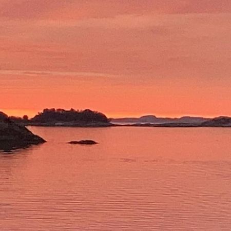 Eksklusiv Rorbu - Havblikk 1 - Batutleie Villa Bekkjarvik Kültér fotó